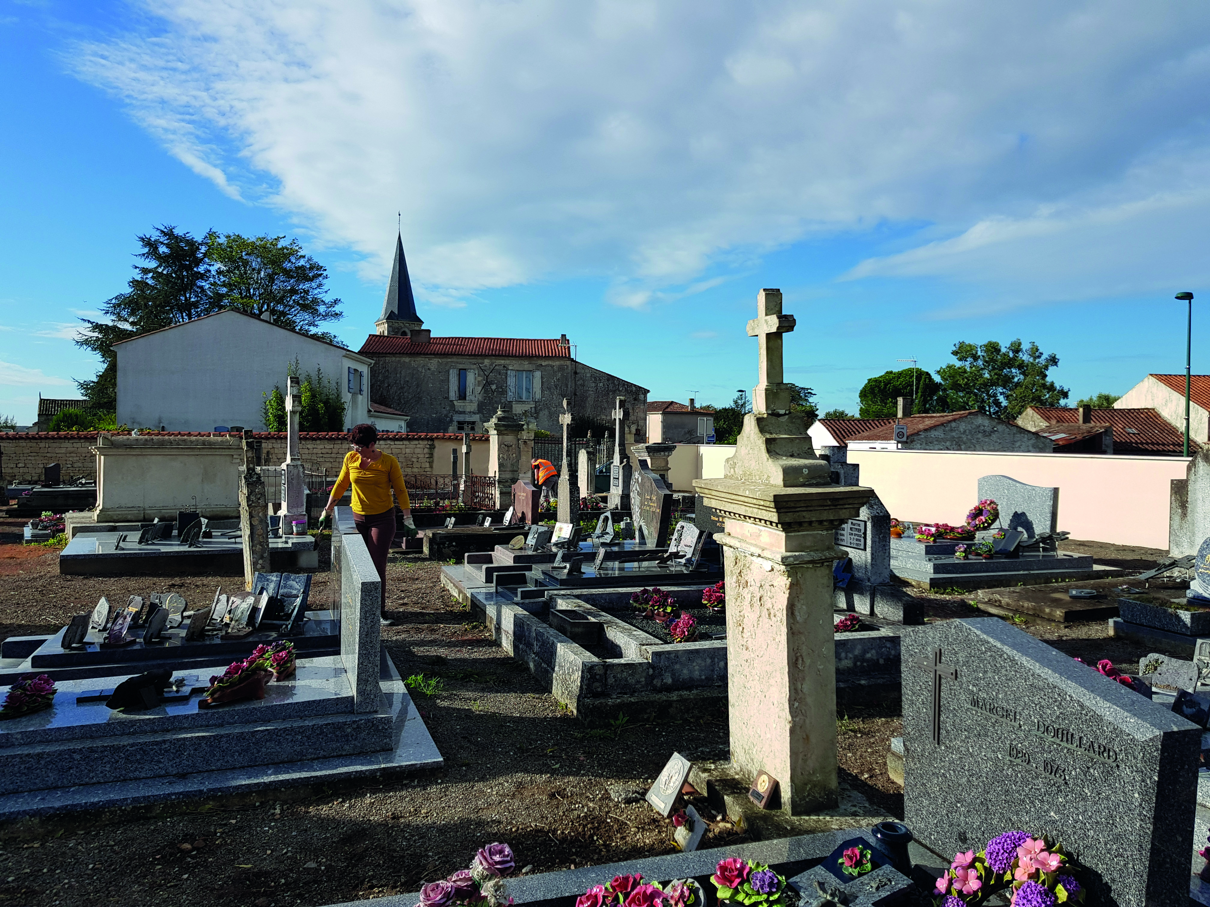 arrachage cimetière